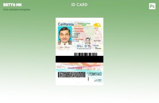 Модерен стил, сегашен шаблон за лична карта на САД во Калифорнија